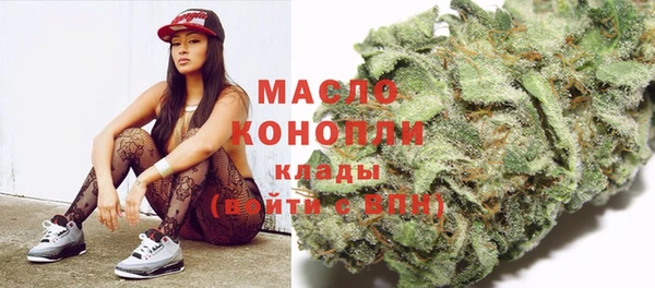 spice Богородицк