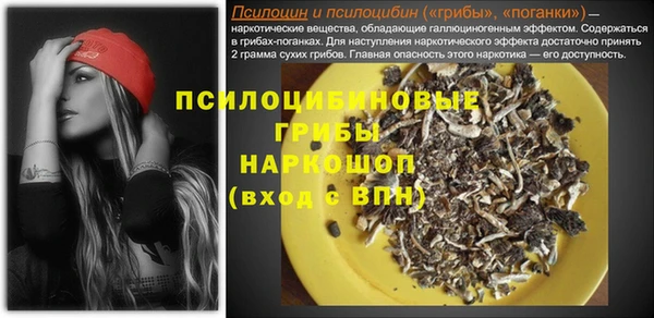 a pvp Богданович