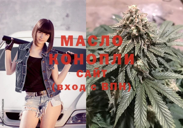 spice Богородицк