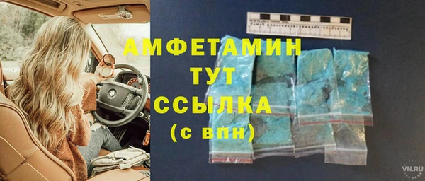 spice Богородицк