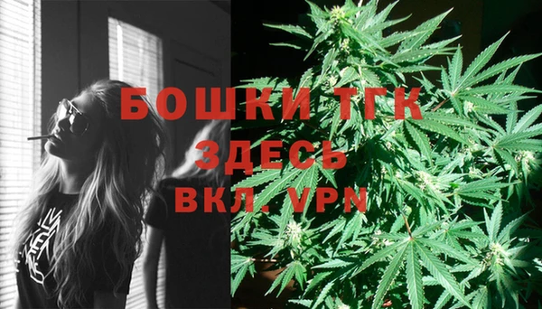 spice Богородицк