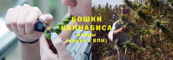 spice Богородицк