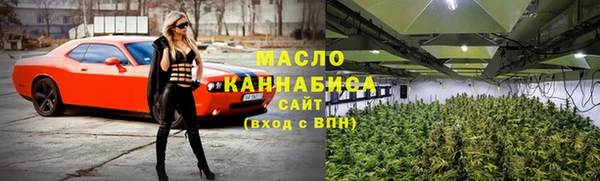 spice Богородицк