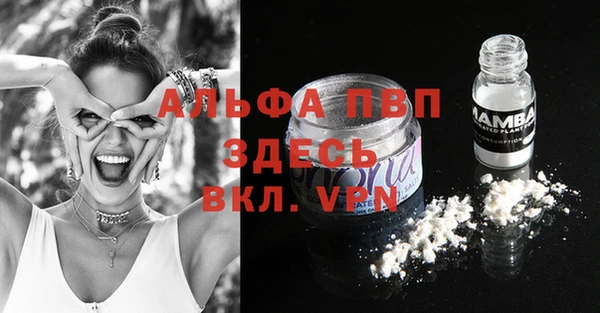 spice Богородицк